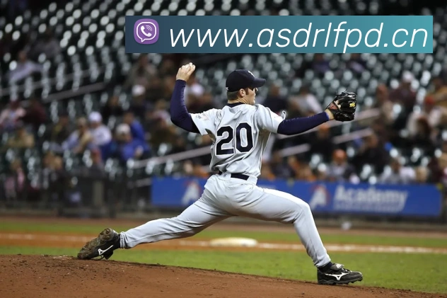 kaiyun官方平台平台生态图